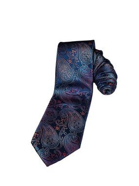 Twenty Dollar Tie Elegant Paisley Silk Tie (SKU#1188)